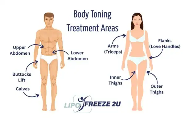 Graphic showing where you can have Body toning Treatment Wales on your body